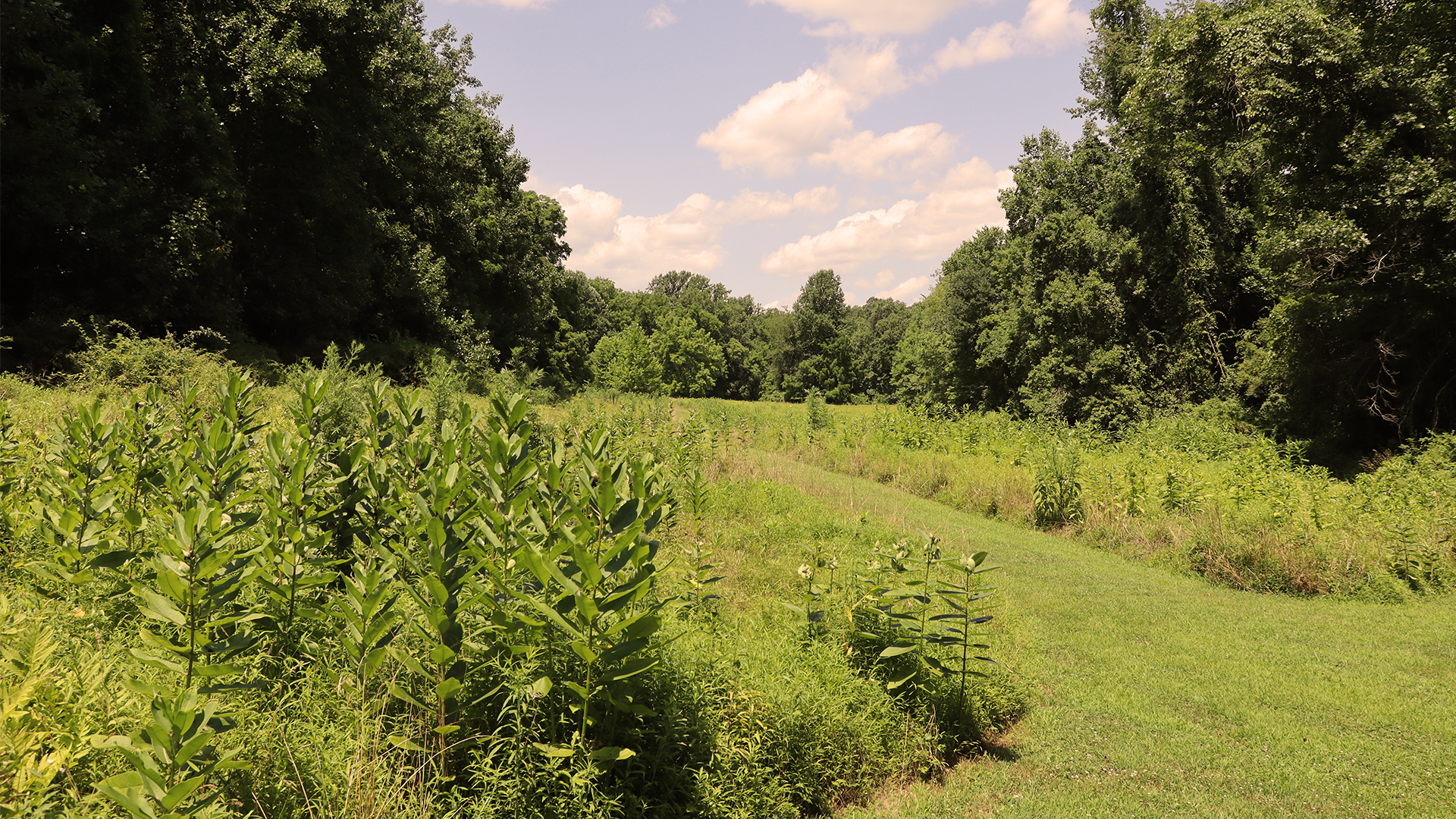 cover photo homepage