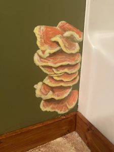 img 0834