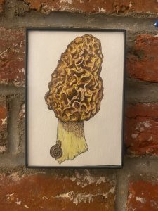 img 3506