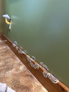 img 3581